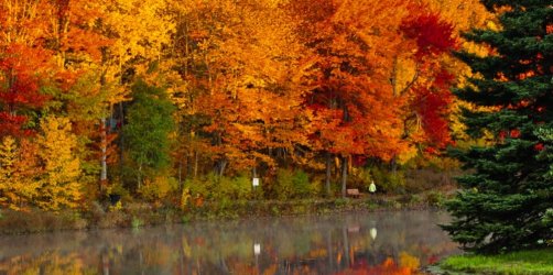 fall-in-New-Brunswick.jpg