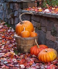 Screenshot_20230904_192002_Pinterest.jpg
