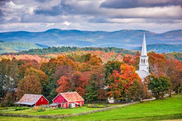 fall shot 11.jpg