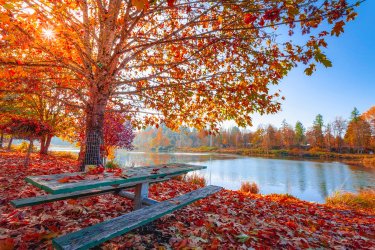 fall-camping.jpeg