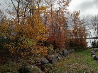 LP park fall walk.jpg