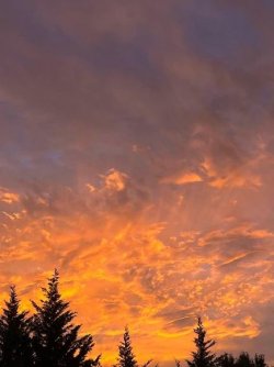 Burnt Sky.jpg