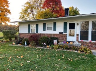 Halloween yard.jpg