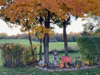 Side Yard.jpg
