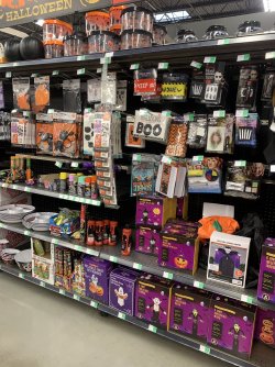 IMG_0089.jpeg