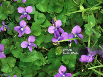 1700146447380.png
