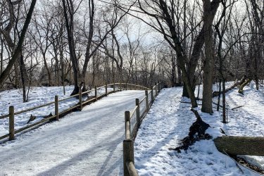 Park-winter-walk.jpg