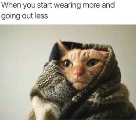 1701492628109.png 1701492628109.png