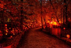 jack-o-lantern-trail.jpg