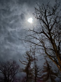 IMG_0063.jpeg