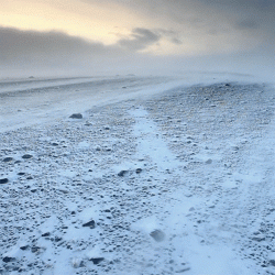 tumblr_on4k1zTMUz1qg39ewo1_500-1418660315.gif