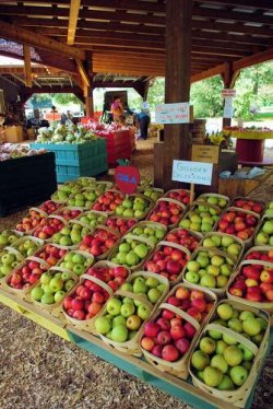 apple-season_orig.jpg