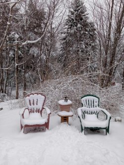 Waiting for Spring.jpg