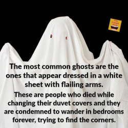 1706582124148.png