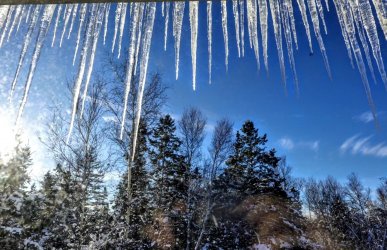 icicles.jpg