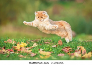 1708530752071.png