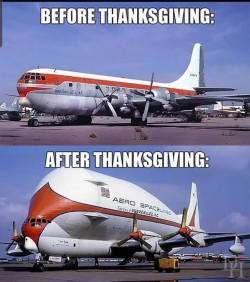 1711496711806.png