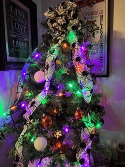 IMG_0272.jpeg