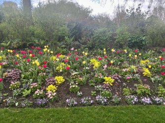 spring garden.jpg