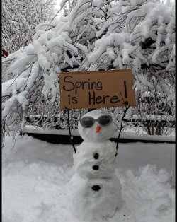 spring in nl.jpg