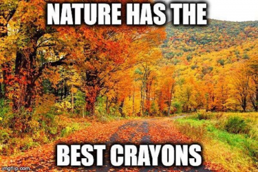 1713826896615.png