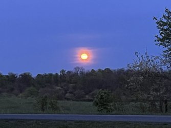 IMG_0283.jpeg