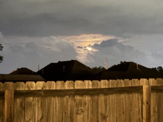 IMG_0184.jpeg