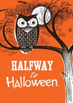 Halloween Half Way.jpg