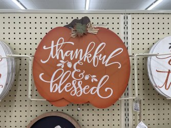 IMG_9373.jpeg