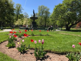 Spring-In-Halifax.jpg