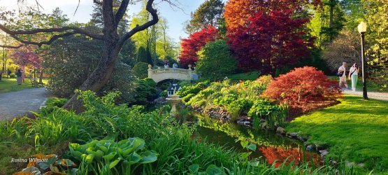 HLFX Public Gardens.jpg