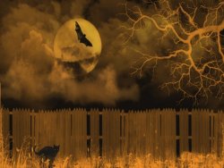 halloween_night_by_sandpiperw-other.jpg