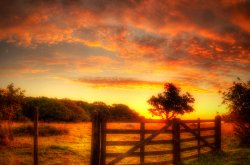 autumn_dusk_over_the_meadow_by_darkmetaphor-d33cujg.jpg