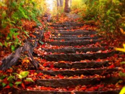 autumn_climb-wallpaper.jpg