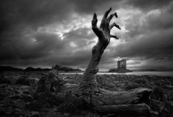 america-s-most-terrifying-haunted-houses.jpe