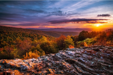 1720521164861.png