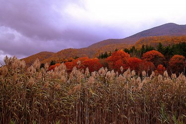 cool Fall day.jpg
