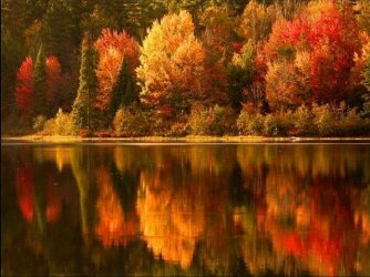 fall-colors-over-the-lake-1.jpg