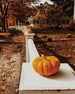 Fall Autumn.jpg
