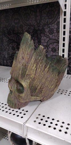 groot.jpg