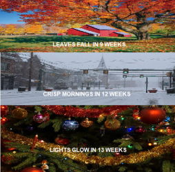 FALL COUNTDOWN MEME AUGUST.png