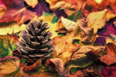 iStock-487300396-1024x683.jpg