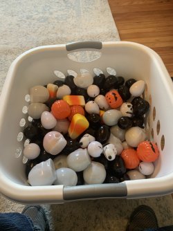GPH eggs.jpg