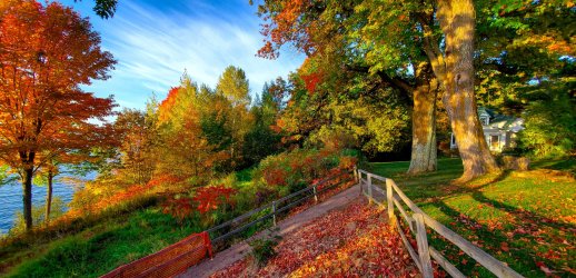 Fall by the Lake.jpg