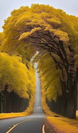 golden autumn.jpg