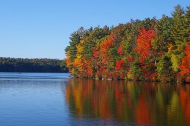 fall-around the lake.jpg