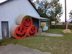 IMG_20151012_171055_010.jpg