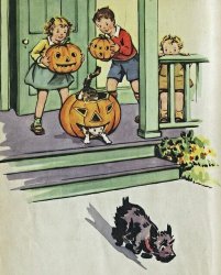 image.jpg