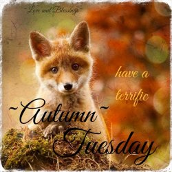 tuesday_024.jpg