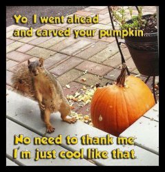 image.jpeg